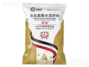 ��������ˮ�ܷ���-Ӣ����С�����zԭ������-��ɭԪ 