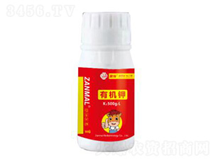 �ЙC(j��)�300g-ٝ��