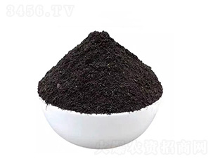 �l(f��)���u�S�ЙC��-�؝��ЙC��