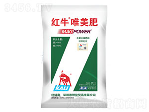 �tţΨ����-���·���