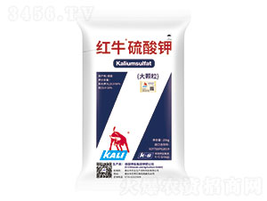 �tţ�����-���·���