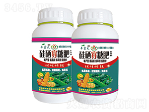 玉米小麥水稻專(zhuān)用硅硒寡糖肥-豐霸天-肥力豐