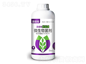 ������΢�������-�߼~��