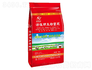 ������������-�l(f��)ؔ��