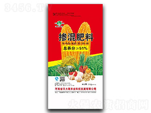 51%�������31-10-10-������