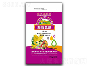 �w������-�ΰ��p��̥-������