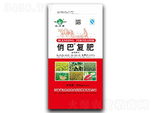 �������15-15-15�ΰ͏�(f��)��-������