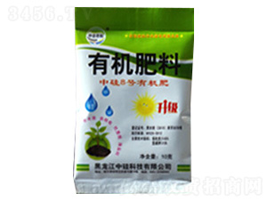 �й�8̖�ЙC������-�й�Ƽ�