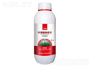微生物菌劑-真細(xì)菌免疫素-土勒施-中肥農(nóng)業(yè)