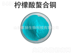 �����������~-˼�P(y��ng)����