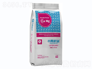 ����Ԫ��ˮ�ܷ���-С��ε�{(l��n)-С��