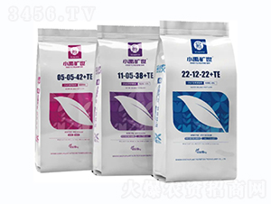 ���Դ���Ԫ��ˮ�ܷ���-С���V��-С��