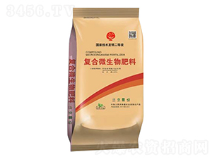 �ͺ�΢�������-���ɩ����