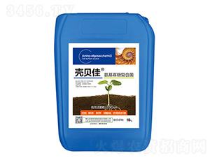 �������Ǐ�(f��)�Ͼ�-��ؐ��-�ļ����r(n��ng)�I(y��)