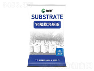 ����������|(zh��)-����