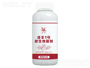 ��ݮ����΢���������ˮ����-���S1̖(h��o)-�|������