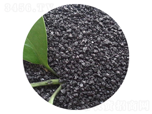 ��ֲ���-�ֵ��S