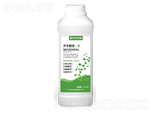 ��������һ̖(h��o)-�����r(n��ng)�I(y��)