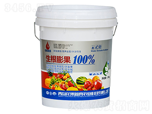 生根膨果100%-花果蔬喜