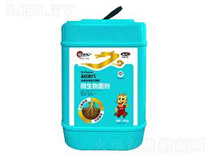 �x�ؾ�-���x���ÑҸ�����-�ŵ���