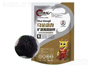 ���������VԴ�S�����-�ŵ���