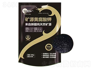 �VԴ�S�����-�ŵ���