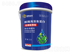 ̼ø�����~����-��(r��n)�����r(n��ng)