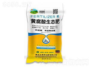 �S�������B(t��i)��-������