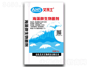 ����΢�������-����ʿ-��������