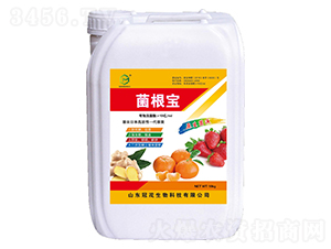 ������-��ï����