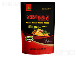 �VԴ�S�����-��ï����