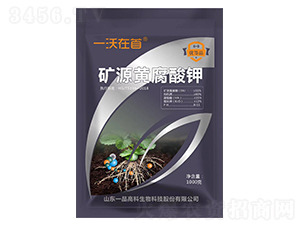 �VԴ�S�����-һ������-һƷ�߿�