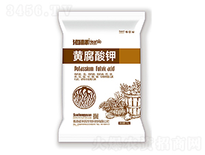 �S�����-����(bi��o)-�T�S�@