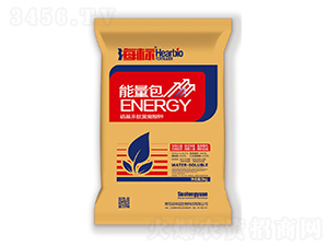 ���������������S�����-����(bi��o)-�T�S�@