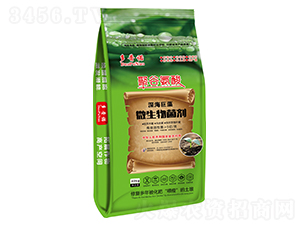 �����΢�������-��ؐ˹