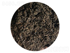 ��S�w����-��������