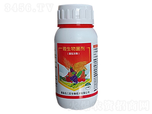 ΢��������������f�-���r����