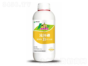 ���w��-¶������-�����r(n��ng)�I(y��)