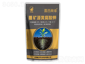 �VԴ�S�����-¶������-�����r(n��ng)�I(y��)