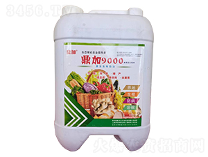 鼎加9000菌藻復(fù)合制劑-鼎加