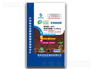 40%�����ЙC��-������-�ꌚ����