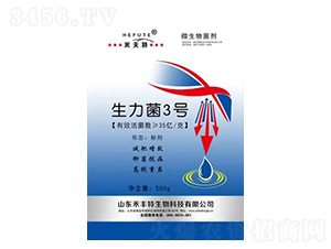 ������3̖-�̷���