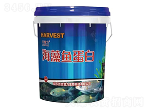 �����~(y��)����-�m����