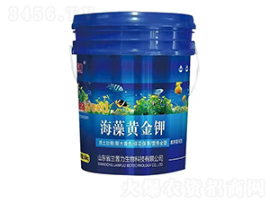 ��⛸��}��-�����S���-�m����