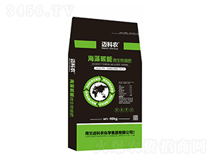 ����̼��΢�������-�~���r(n��ng)-�Έ�����