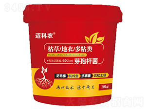 ѿ�ߗU��-�~���r(n��ng)-�Έ�����