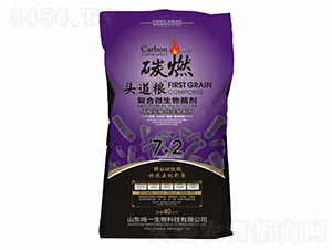 ̼ȼ����(f��)��΢�������-�Qһ����