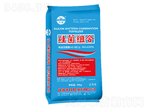 ����M��-�����ʘI(y��)