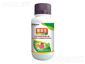 �K�o������������-��팚-����