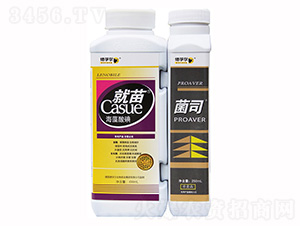 ����+��˾-���ڠ�